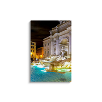 trevi fountain